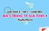 Giải bài 5 trang 59 Toán 8 Tập 1 SGK Cánh Diều
